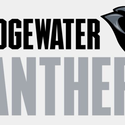 BRW New Designs 2025 BRW Panthers Thumbnail